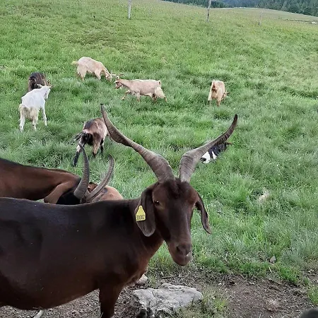 Et D'hotes A La Ferme Bed & Breakfast *